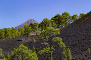 El Teide - Tenerife island